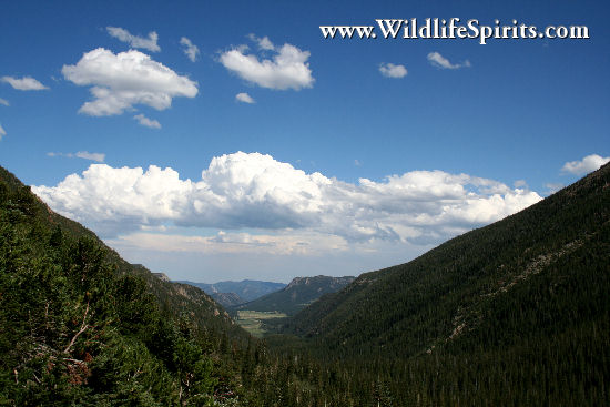 Click Picture to send as an  E-PostCard 64k 550x367